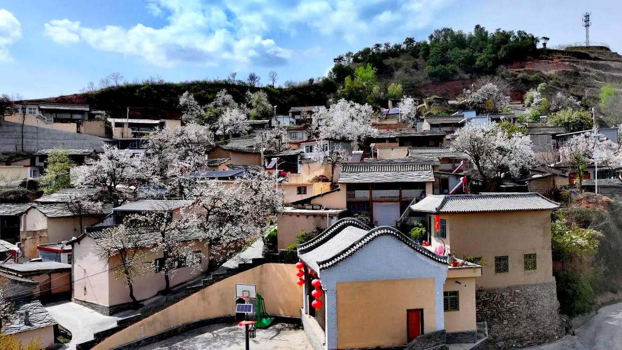 探寻镇宁乡村美景,文化与自然的和谐交响