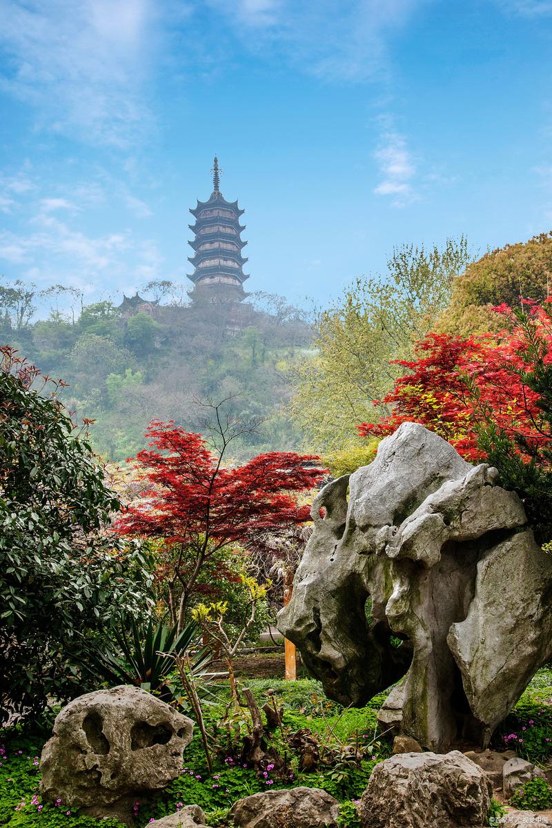 探寻镇江秋色，邂逅诗意美景