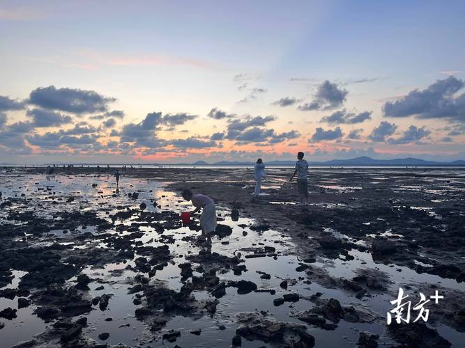 探寻阳江风情，领略海滨魅力_阳江人气景点大介绍  第2张