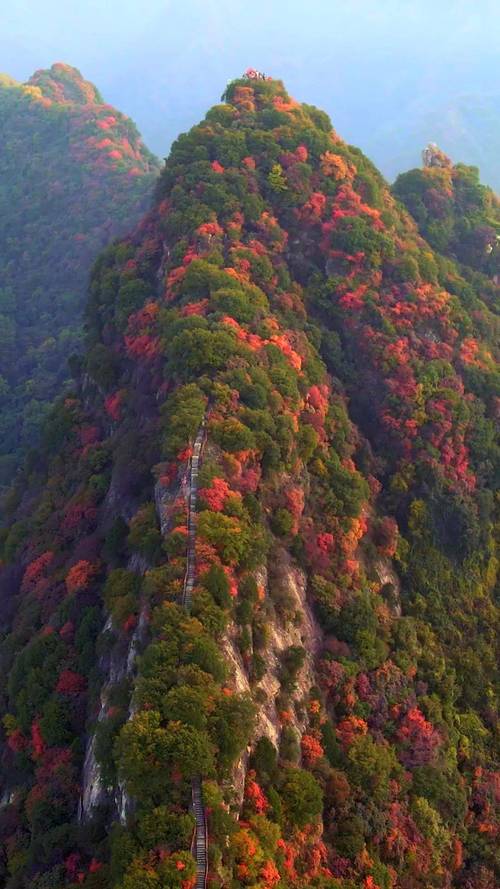 探寻陕西红枫岭,大自然的画卷，历史的印记