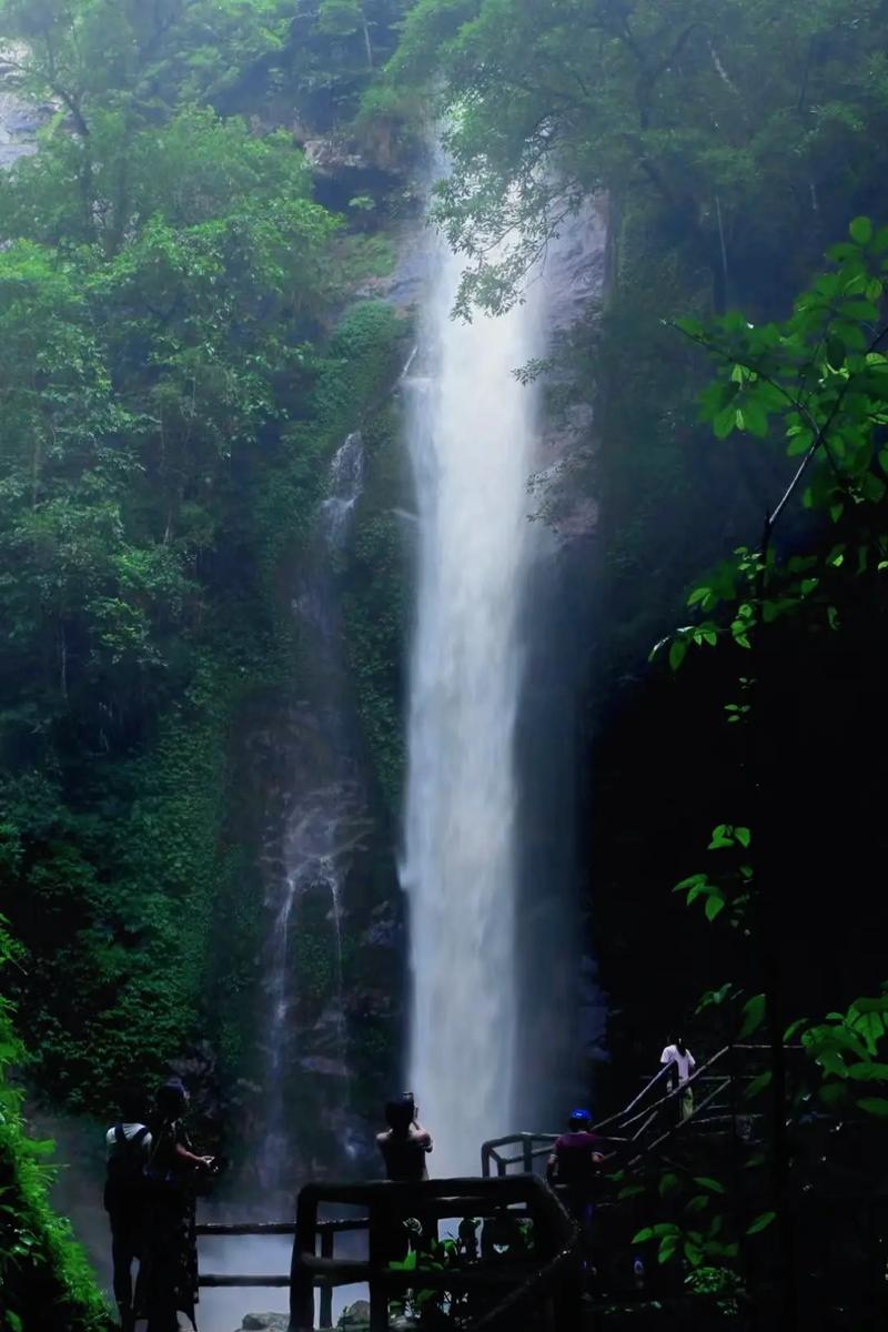 探寻雨林秘境,水面景点之奇幻之旅