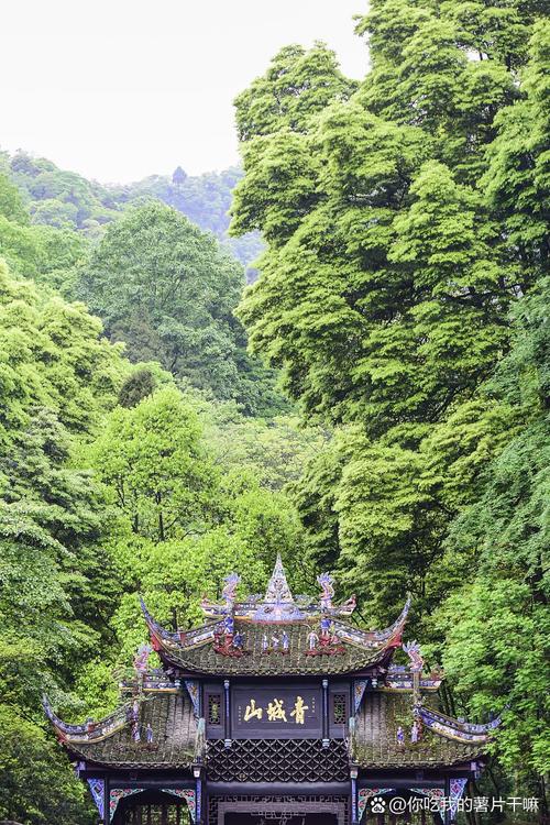 探寻青城后山秋冬秘境,一幅自然与人文交融的画卷