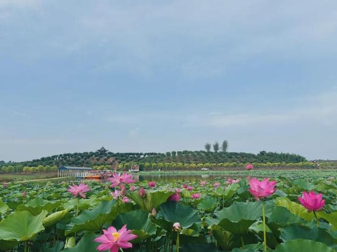 探寻高平夏季风情，领略三晋大地自然与文化之美  第2张