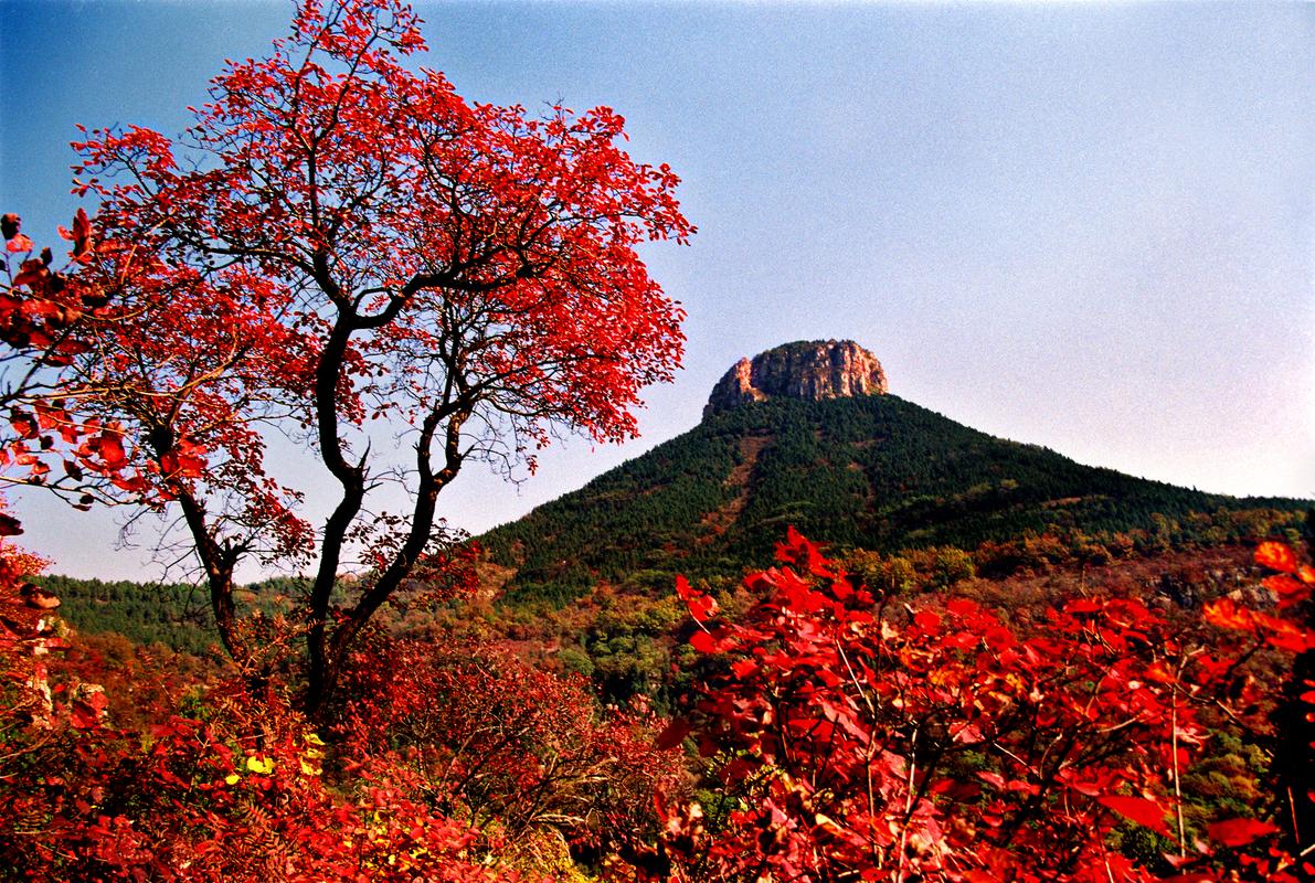 探寻鲁南美景，感受千年文化底蕴