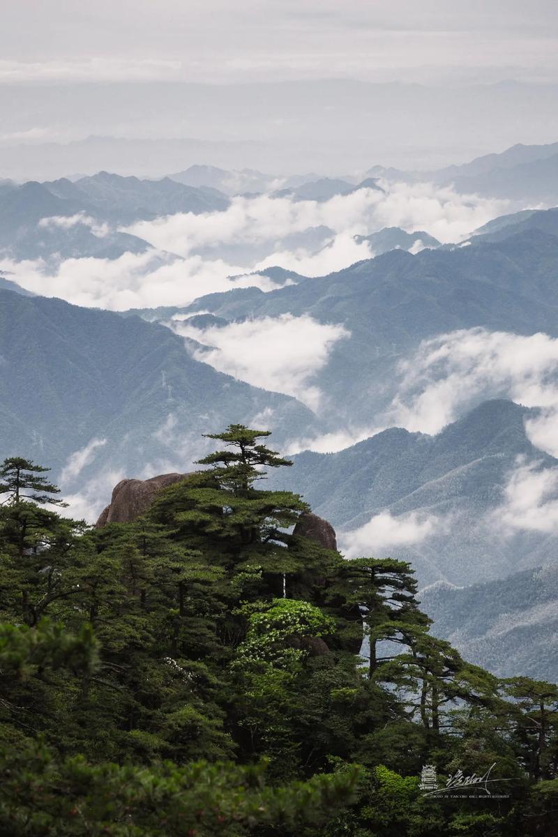 探寻黄山云谷的神秘魅力  第2张