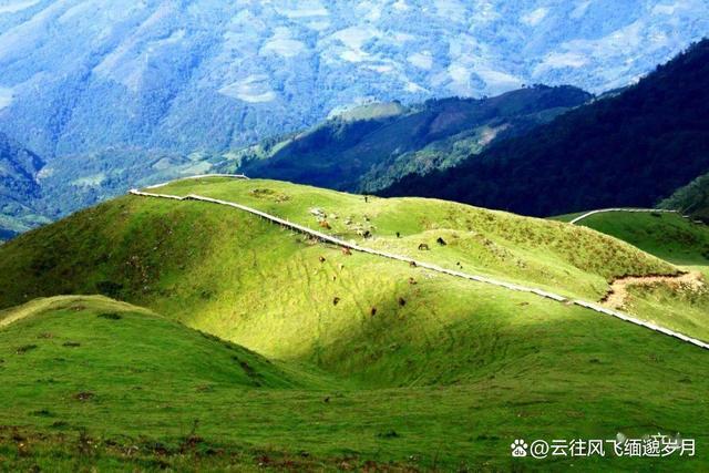 探寻黑河老坡,历史与现代交融的风景名胜