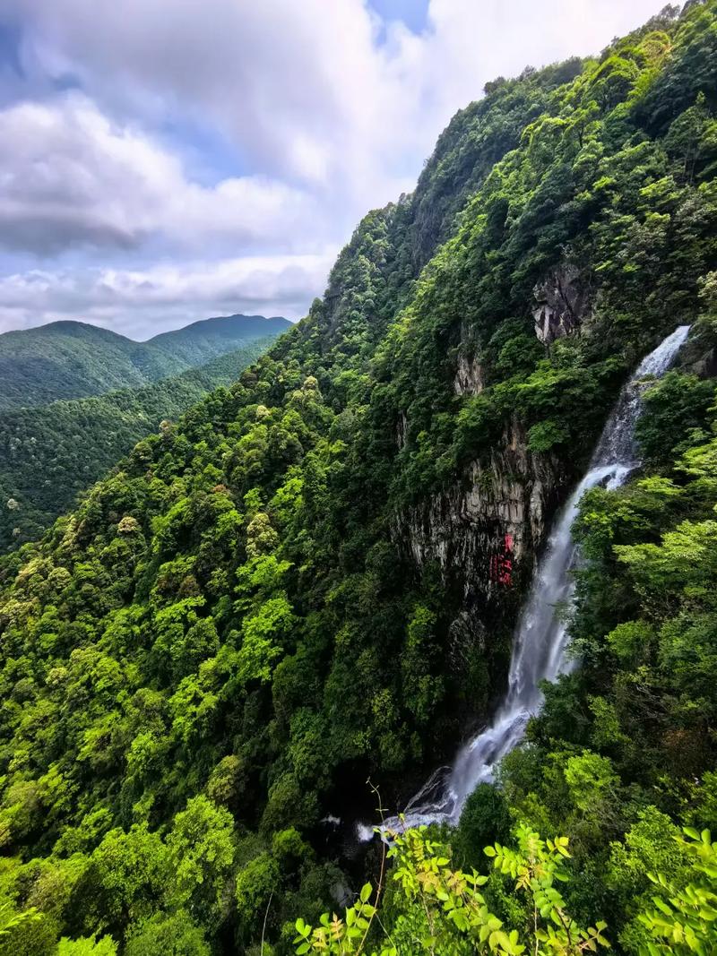 探秘三百山,大自然的秘境奇观  第2张