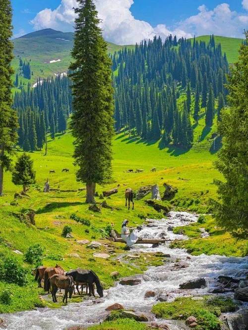 探秘伊犁山沟,小众景点的绝美画卷