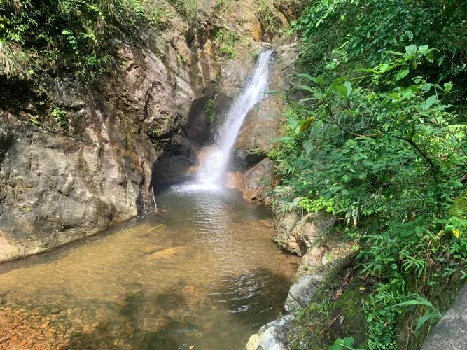 探秘信宜,一幅山水画卷中的旅游天堂