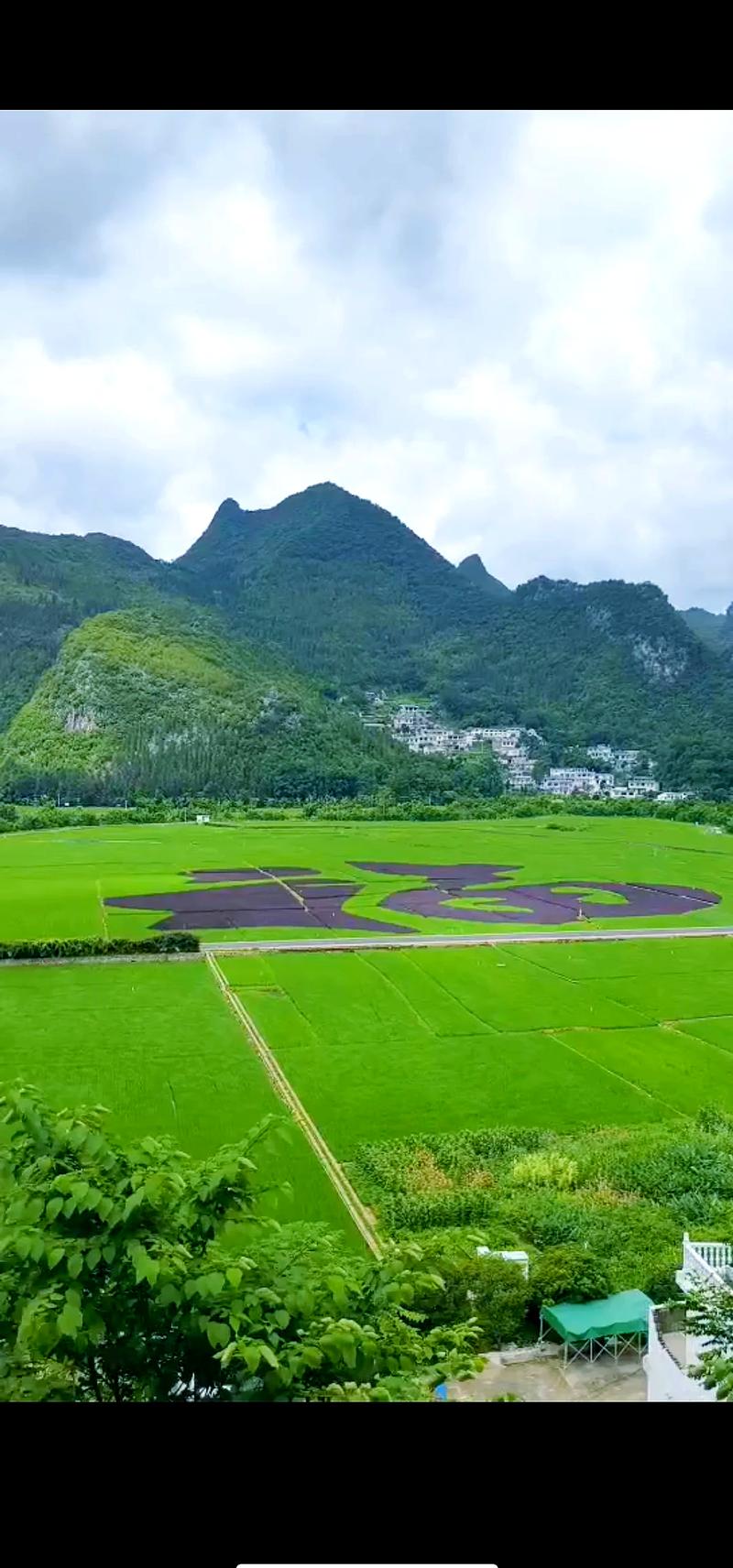 探秘兴义自然丛林,绿色天堂，生态秘境