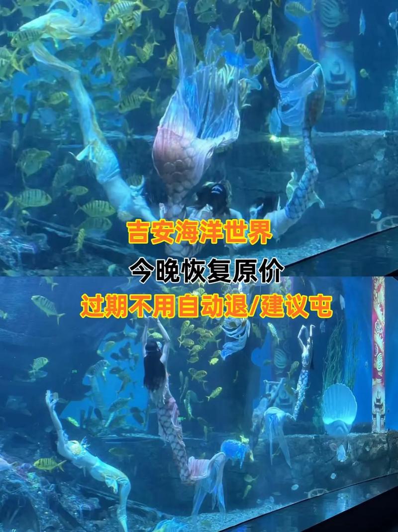 探秘吉安海洋世界,一场与海洋生物的奇幻之旅  第2张