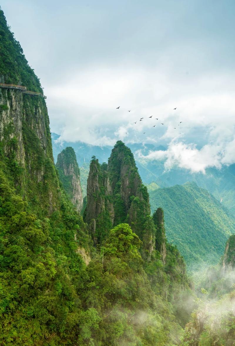 探秘大莽山,大自然的绿色王国  第2张