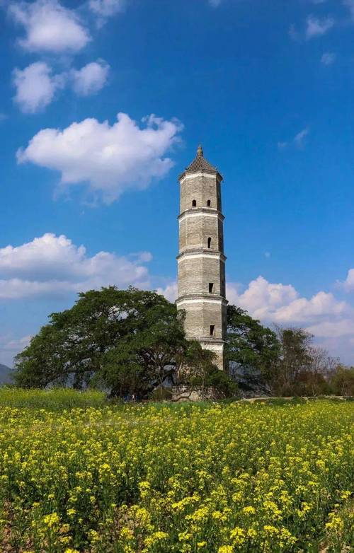 探秘宁明,历史文化与现代风貌交相辉映的旅游胜地  第2张