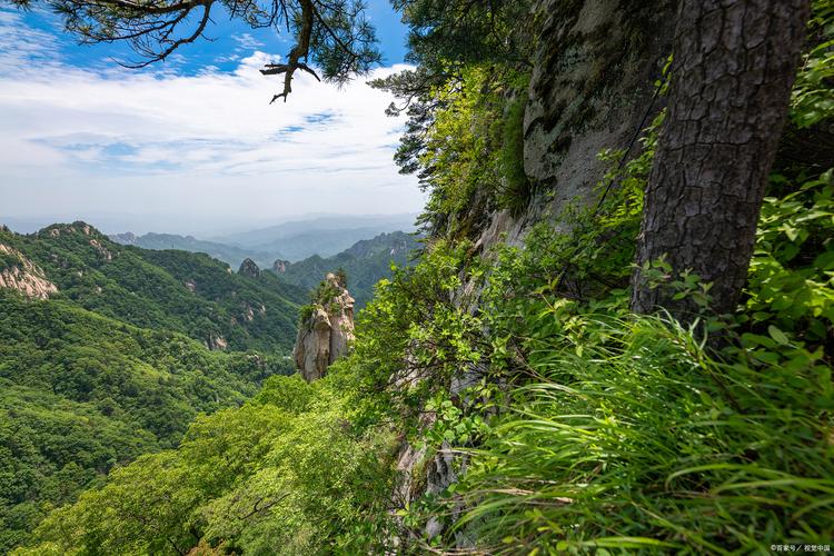 探秘山东原山,自然与文化交融的绿色宝地