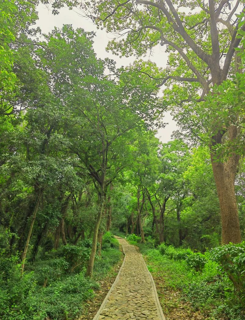 探秘平旺公园,自然与历史的交融之地