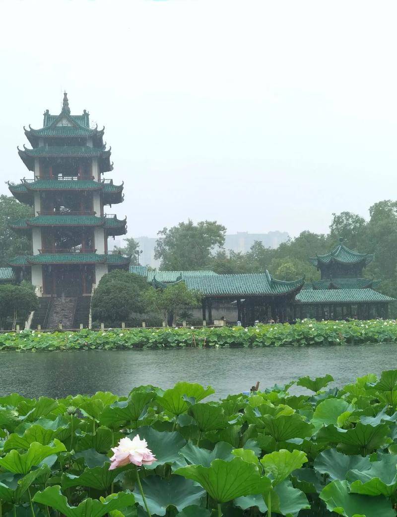 探秘成都桂湖,古韵今风，一湖烟雨的园林画卷  第2张