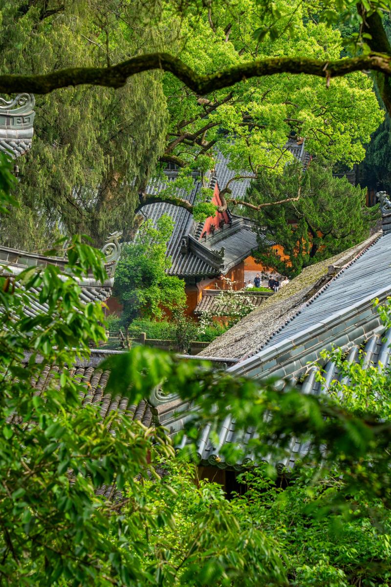 探秘杭州天台,千年古刹的禅意之旅  第2张