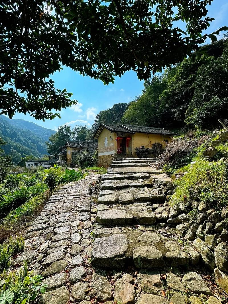 探秘梅州蕉岭,千年古县的文化韵味与自然美景