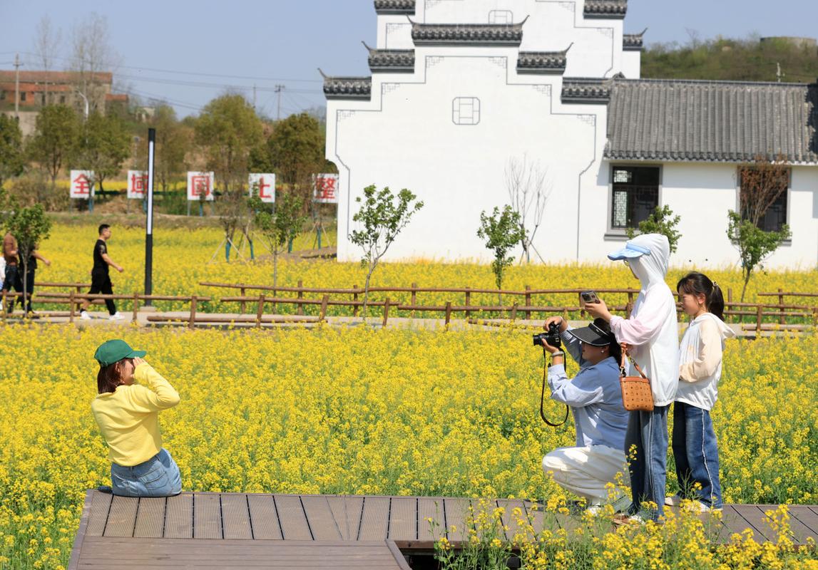 探秘横县周末之旅,感受田园风光与民俗风情