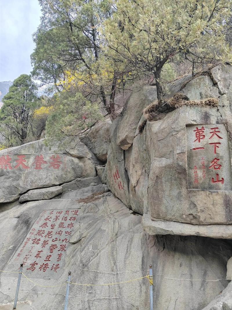 探秘泰山脚下,免费景点的自然与人文之美  第2张