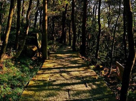 探秘盘龙区山庄,寻古探幽，感受自然之美  第2张