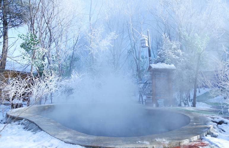 探秘看雪温泉,养生休闲的圣地，大自然馈赠的瑰宝