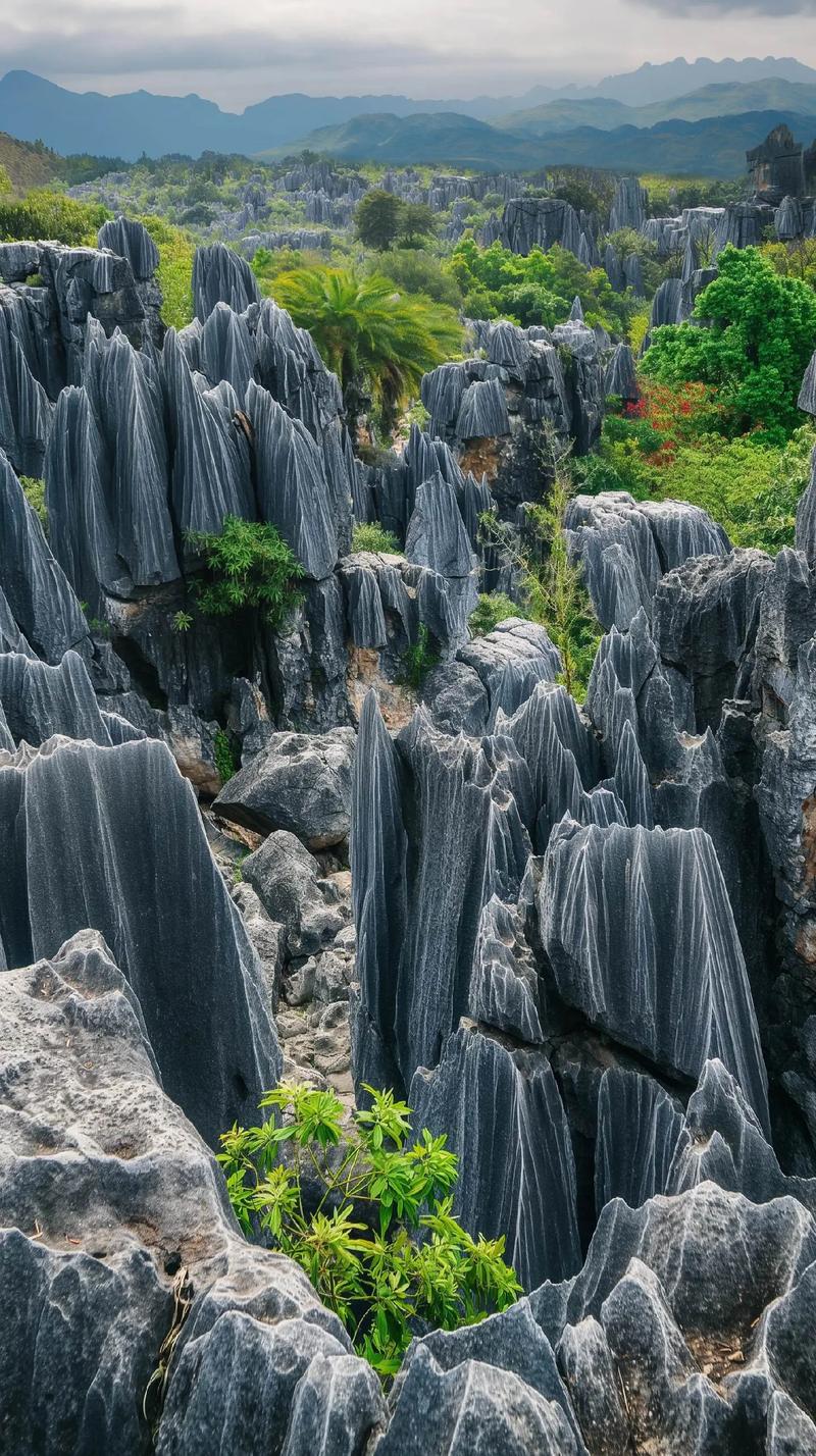 探秘石景林,大自然的鬼斧神工，介绍地质奇观的奥秘