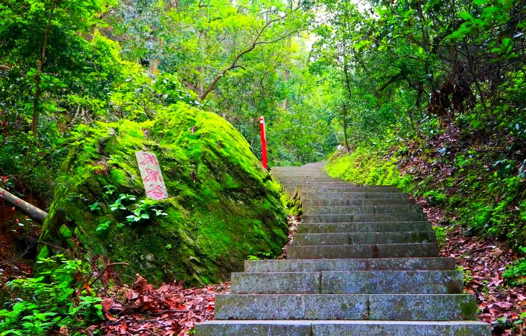 探秘祁东歧山,自然与文化交融的绿色仙境