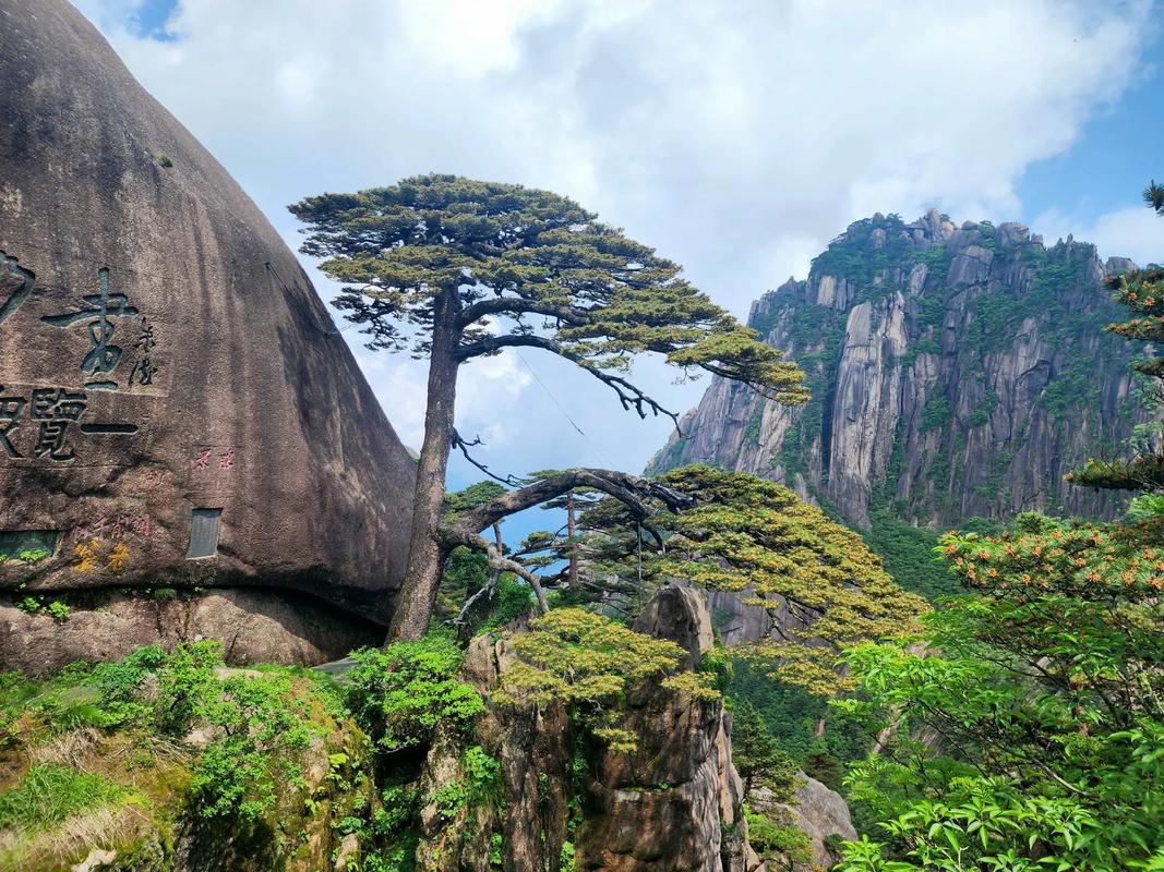 探秘自然奇观，感受大美黄山_黄山景区特色之旅