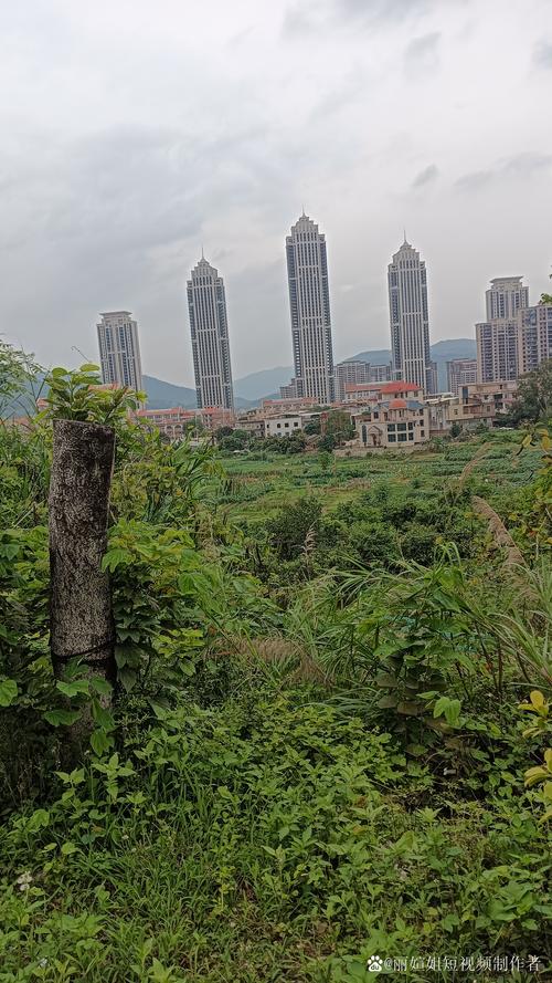 探秘苏州新区,繁华都市中的绿色秘境  第2张