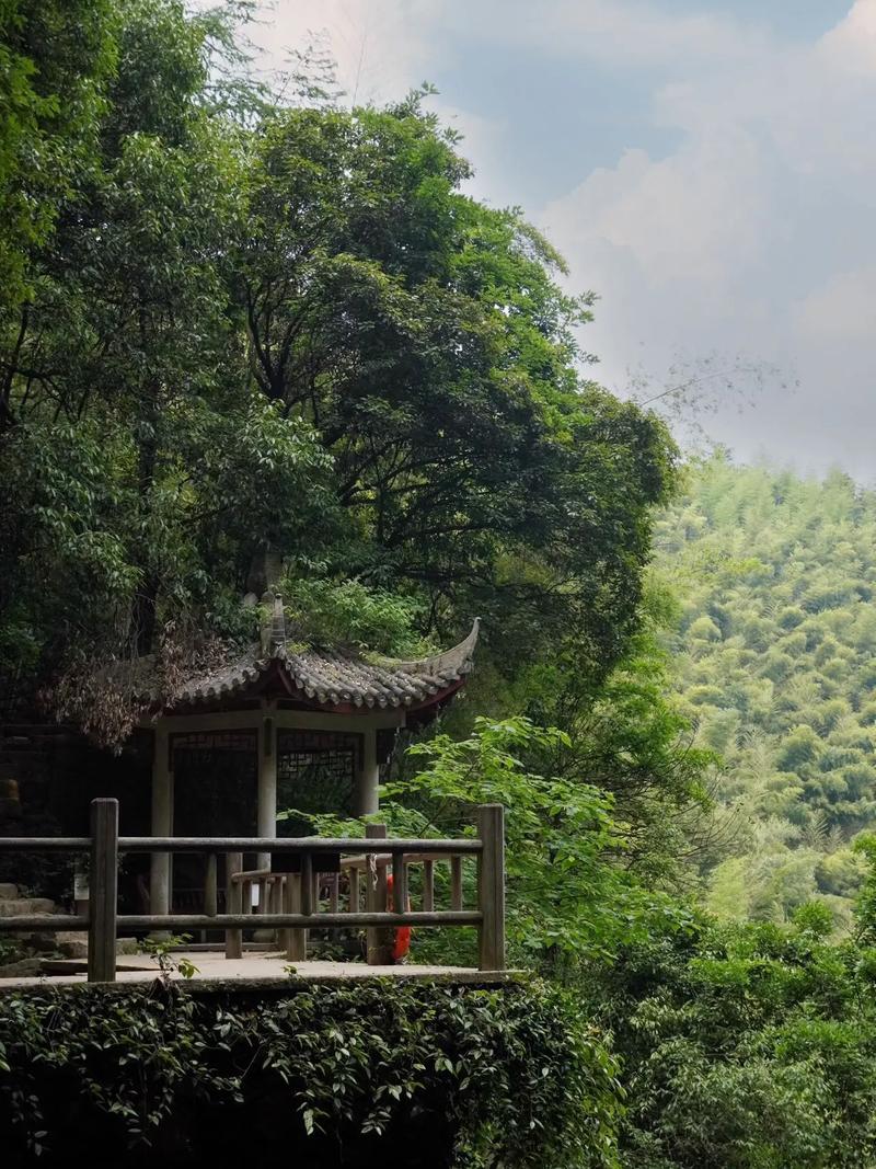 探秘莫干山,江南山水的静谧天堂