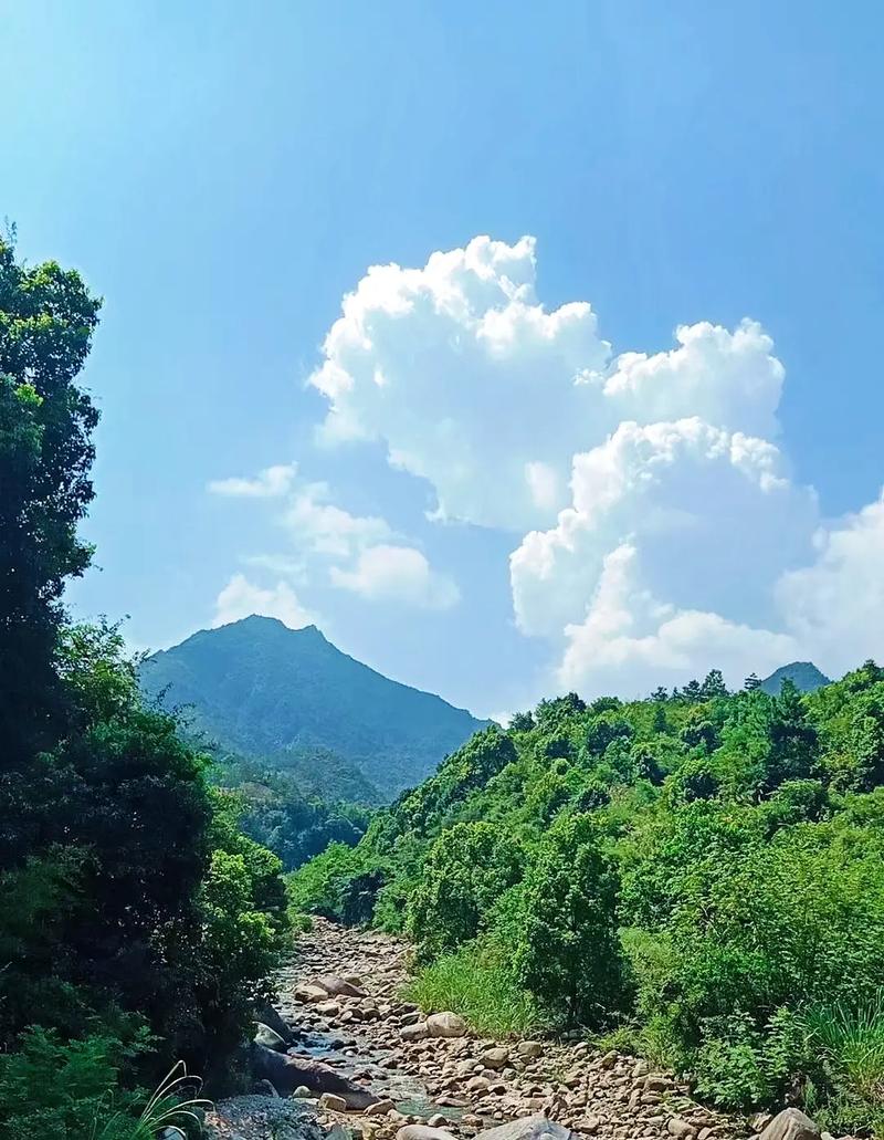 探秘蕲春生态美景，感受自然之韵  第2张