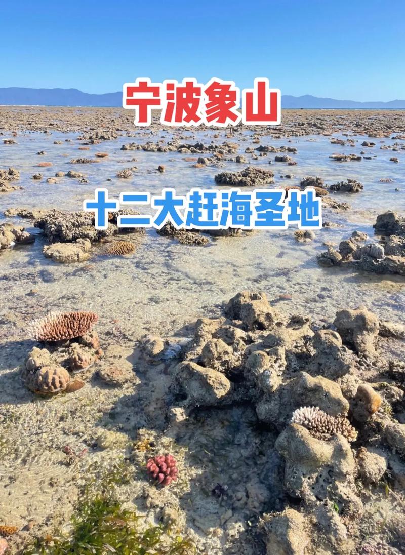 探秘象山,历史悠久的海洋文化圣地  第2张