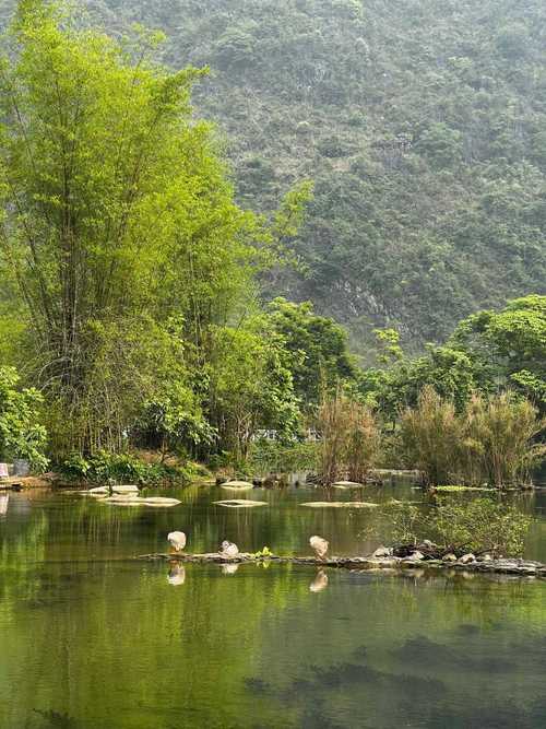 探秘赫章,山水画卷中的特产宝藏