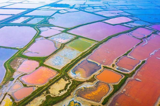 探秘运城湿地,生态宝库中的自然画卷  第2张