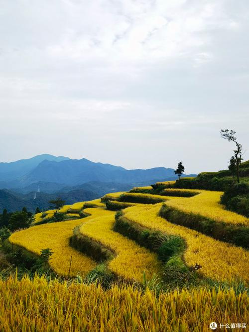 探秘金田,历史与现代交融的旅游胜地  第2张