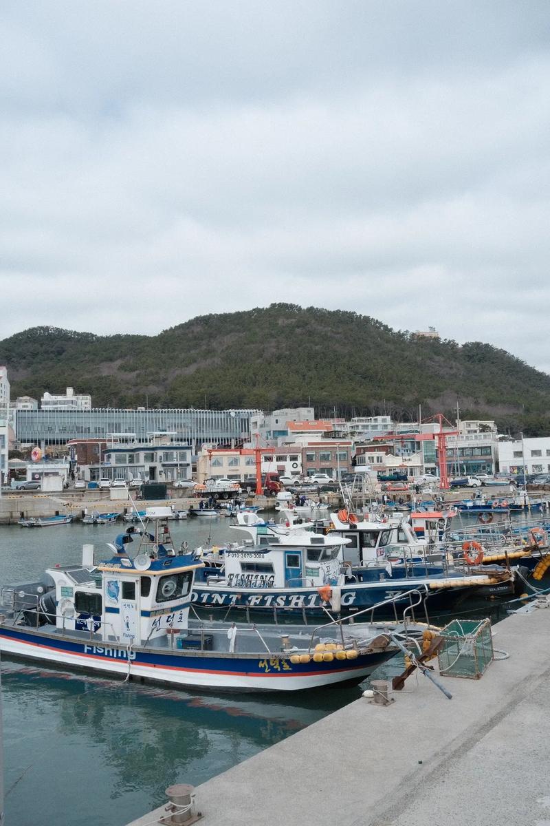 探秘釜山,这座韩国海滨城市的独特魅力  第2张