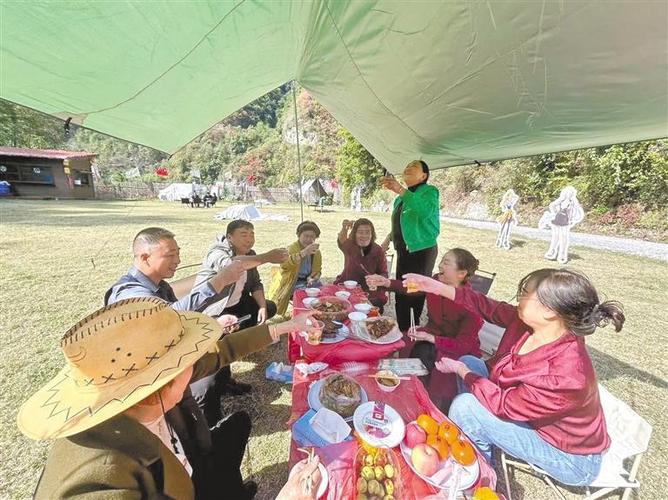 探秘长沙摘莲子,一场田园诗意之旅  第2张