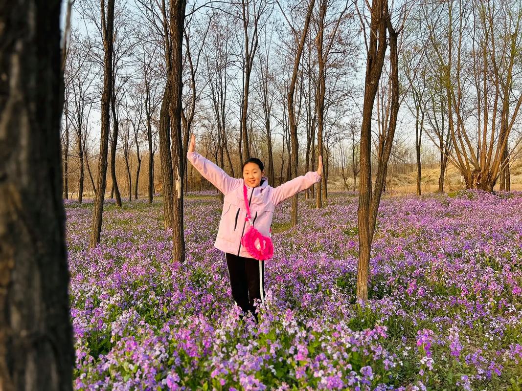 探秘长治后花园,自然风光与文化底蕴的完美融合  第2张