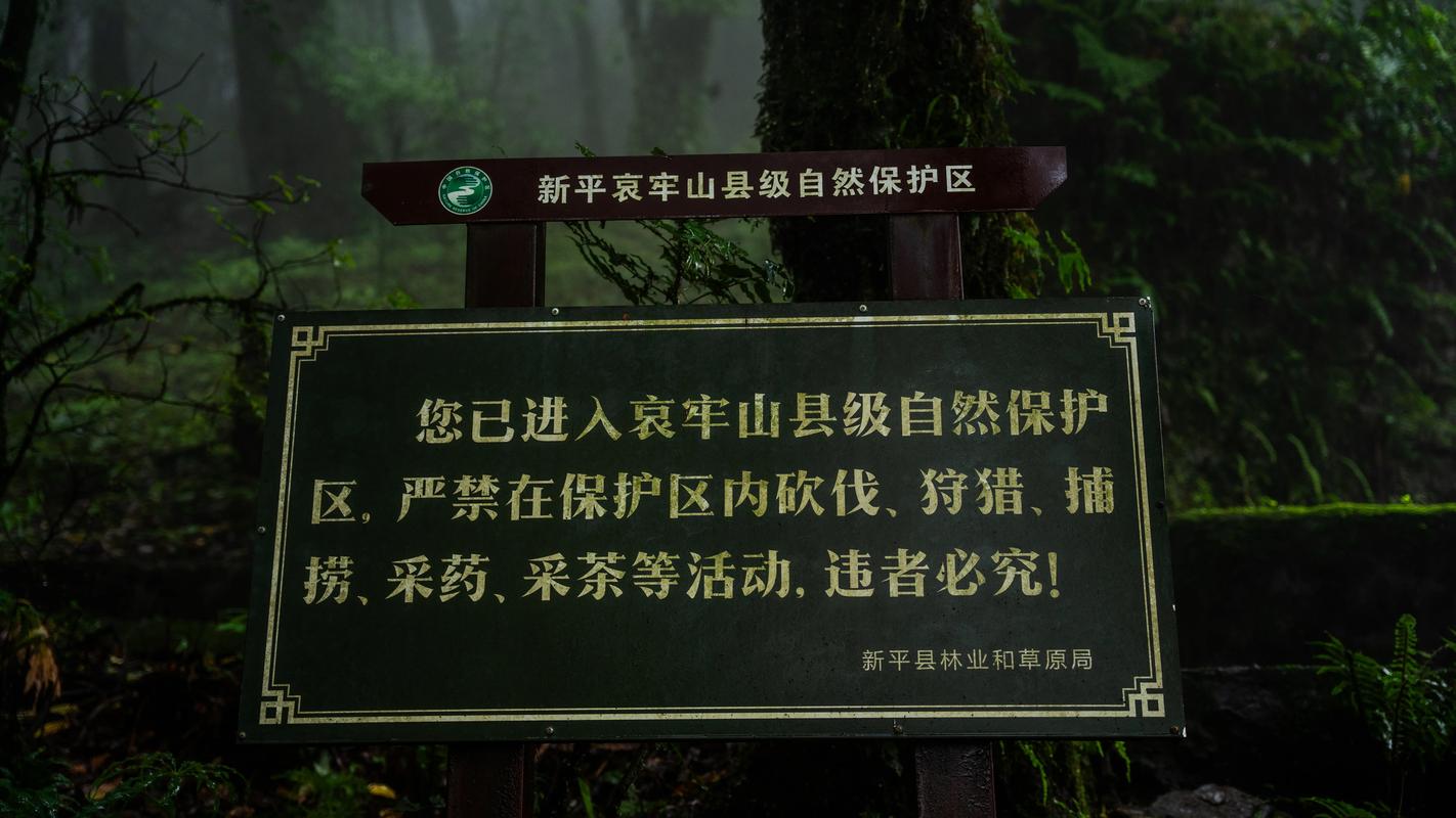 探访林间秘境,介绍自然与人文交融的旅游胜地  第2张