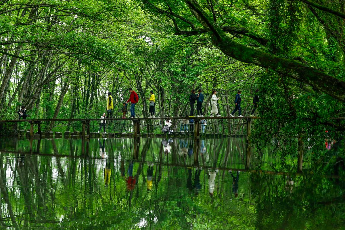 探访绿目景点,感受大自然的魅力，领略生态旅游的真谛