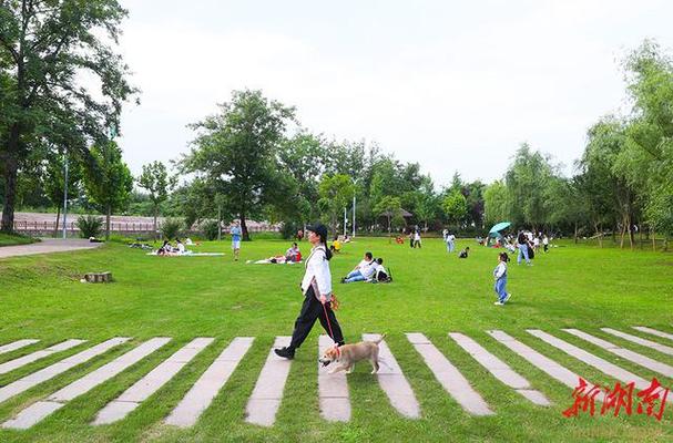 探访魏县生态公园,绿意盎然，人与自然和谐共生