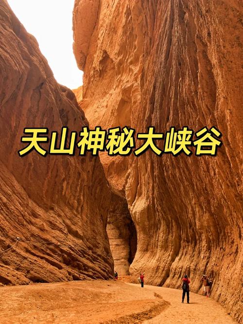 探险峡谷，介绍大自然的神秘面纱_走进中国峡谷探险胜地