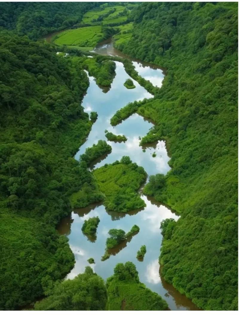 揭阳河流美景,穿越时空的绿意盎然  第2张