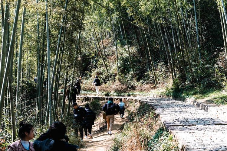 杭州穿越山道,探寻自然与人文的完美交融