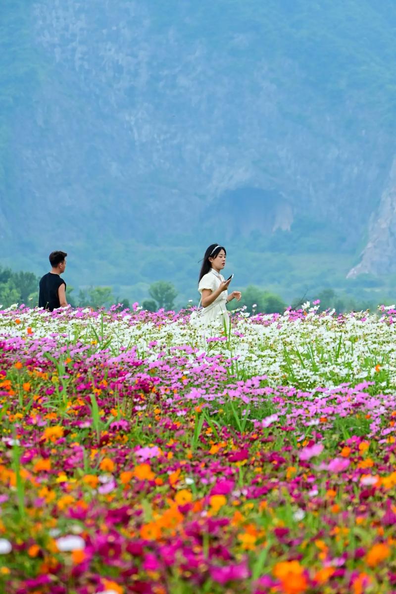 杭州花圃,漫步花海，品味江南园林艺术  第2张