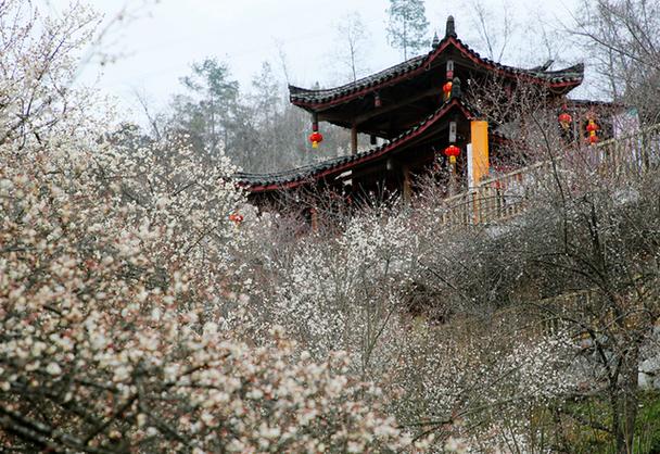 梅城自然景点的魅力之旅_探寻大自然的画卷  第2张