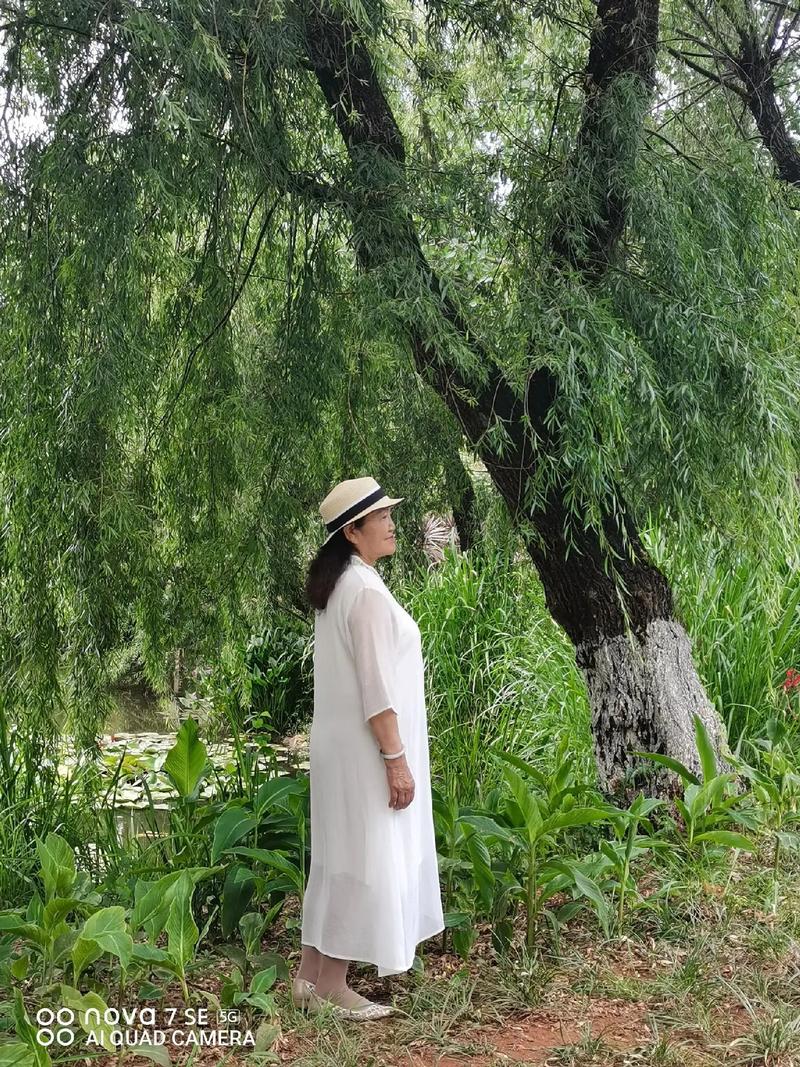 棉花朵朵,走进自然的织梦花园  第2张