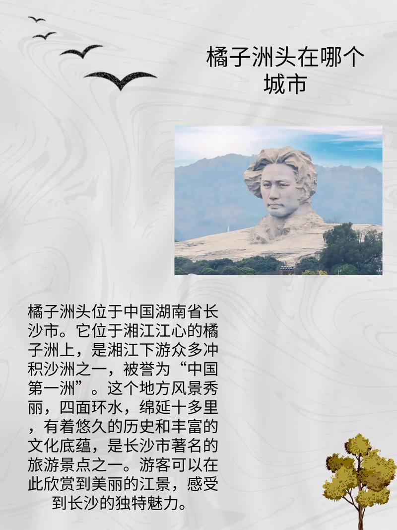 橘子洲,湘江之畔的历史与文化瑰宝  第2张