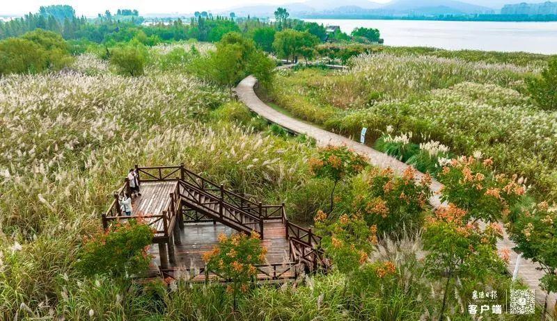 汉川河滩公园,城市绿肺，休闲胜地